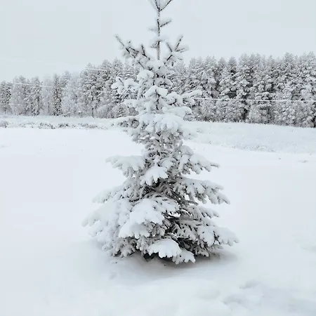 Apartamento Kotikuja Rovaniemi