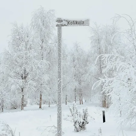 Kotikuja