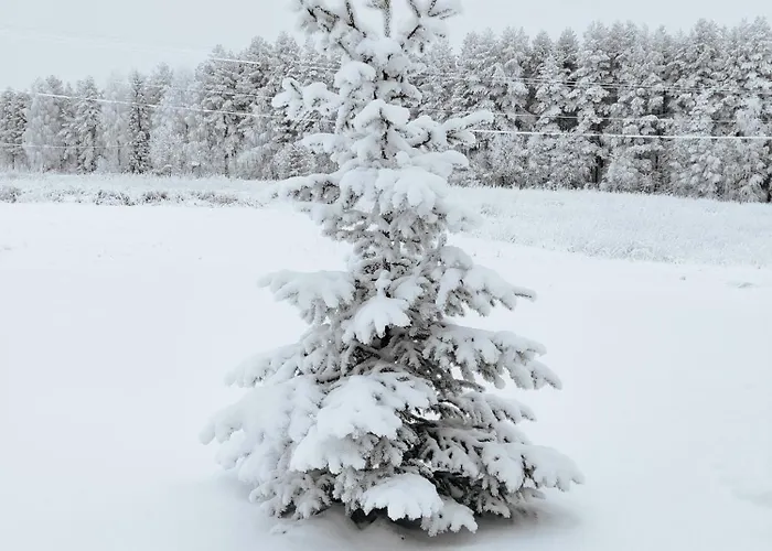 Appartement Kotikuja Rovaniemi