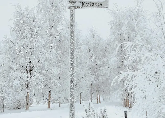 Kotikuja